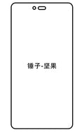 Film hydrogel Smartisan U1