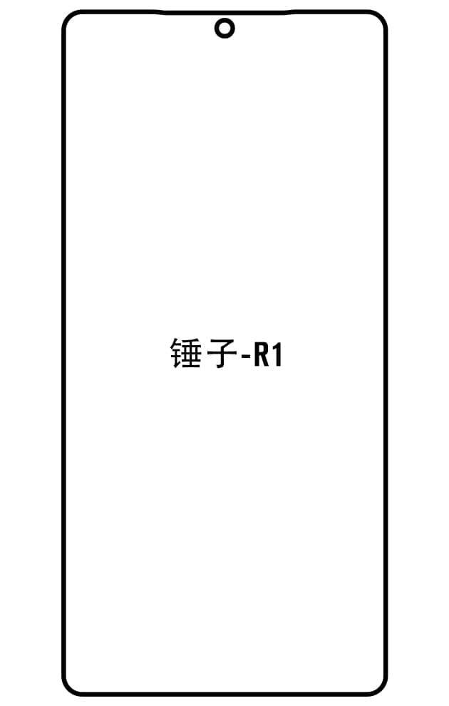 Film hydrogel Smartisan R1