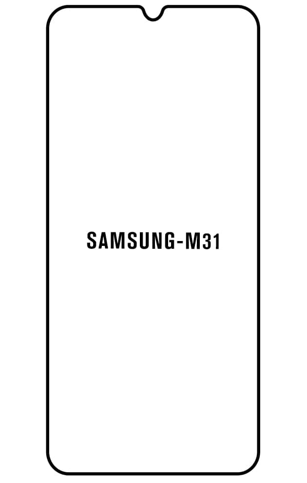Film hydrogel Samsung Galaxy M31