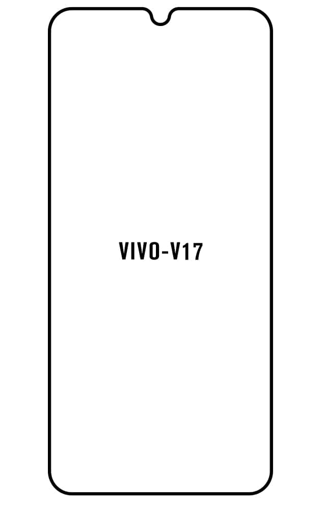 Film hydrogel Vivo V17 (Russia)