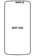 Film hydrogel DEXP Z250