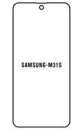 Film hydrogel Samsung Galaxy M31S