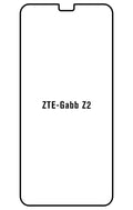 Film hydrogel ZTE Gabb Z2
