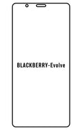 Film hydrogel BlackBerry Evolve