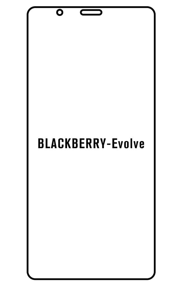 Film hydrogel BlackBerry Evolve