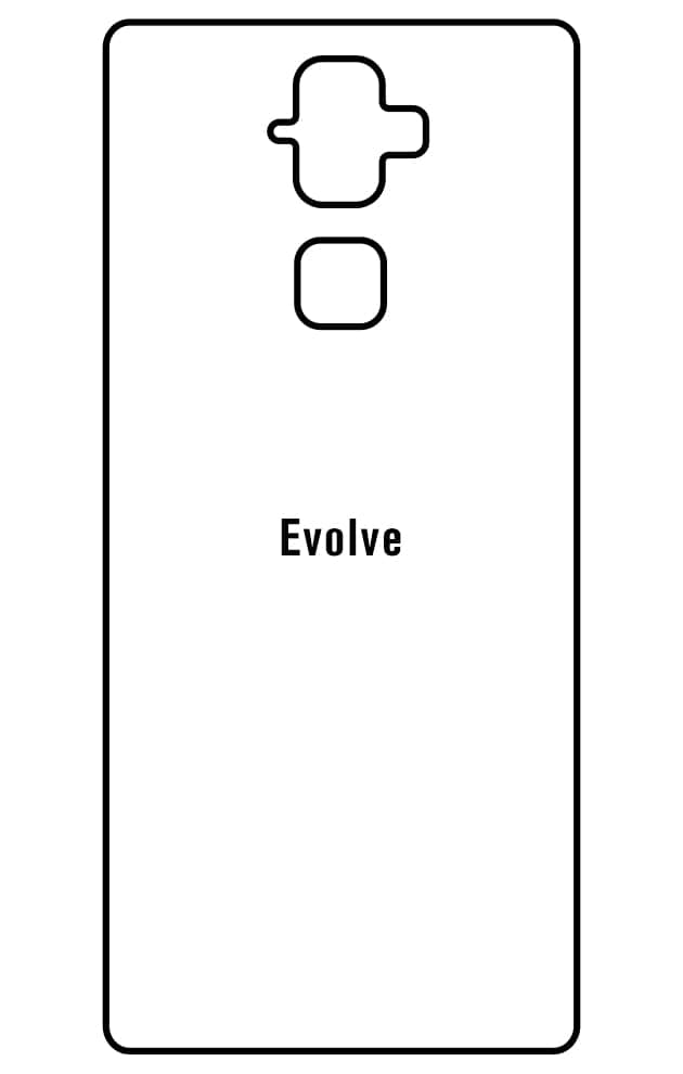 Film hydrogel BlackBerry Evolve