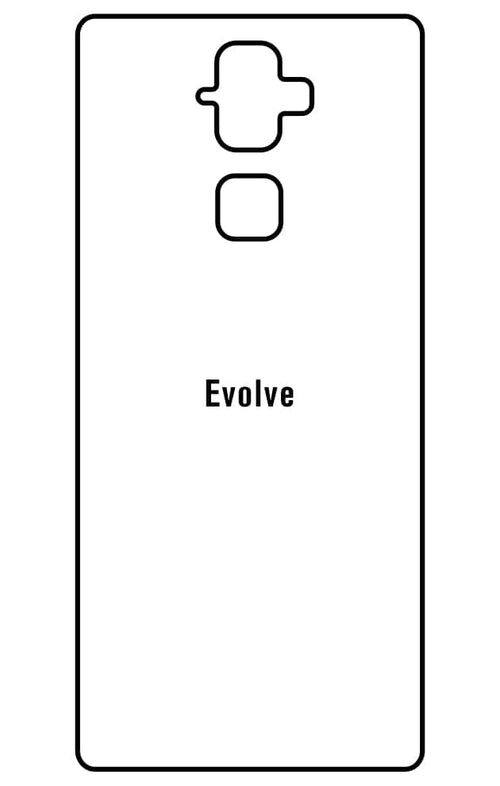Film hydrogel BlackBerry Evolve