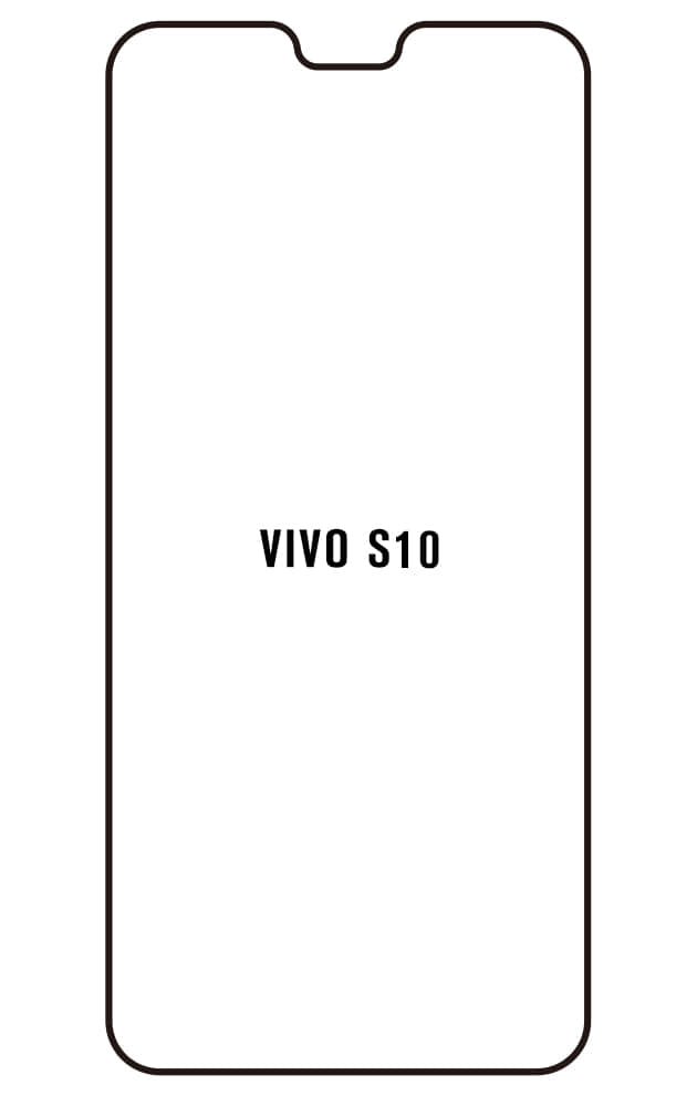 Film hydrogel Vivo S10
