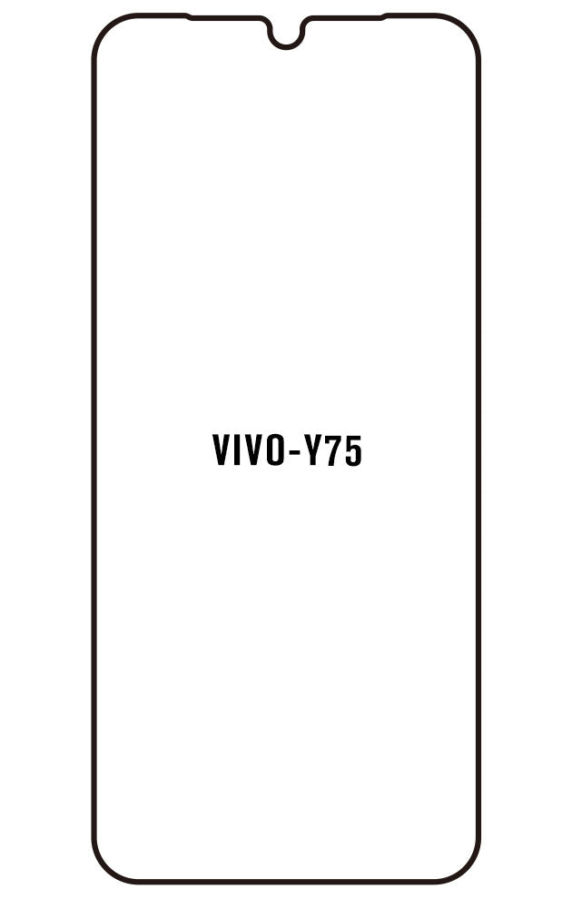Film hydrogel Vivo Y752022