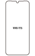 Film hydrogel Vivo Y752022