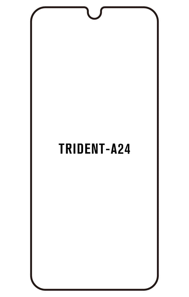 Film hydrogel TRİDENT A24