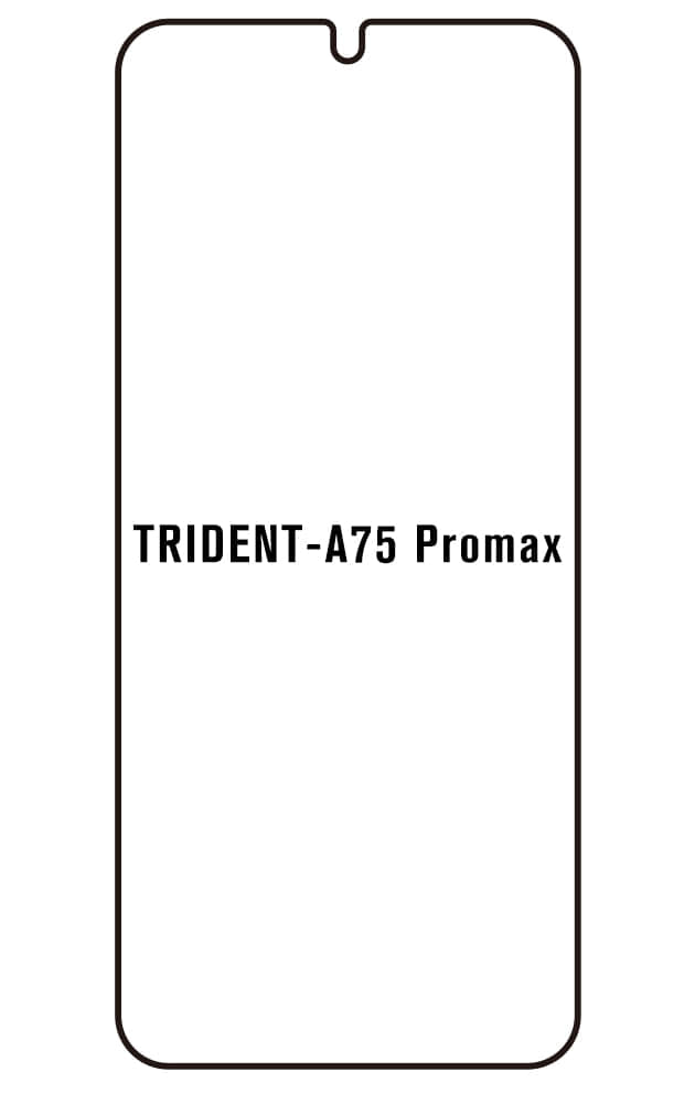 Film hydrogel TRİDENT A75 Promax