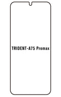 Film hydrogel TRİDENT A75 Promax