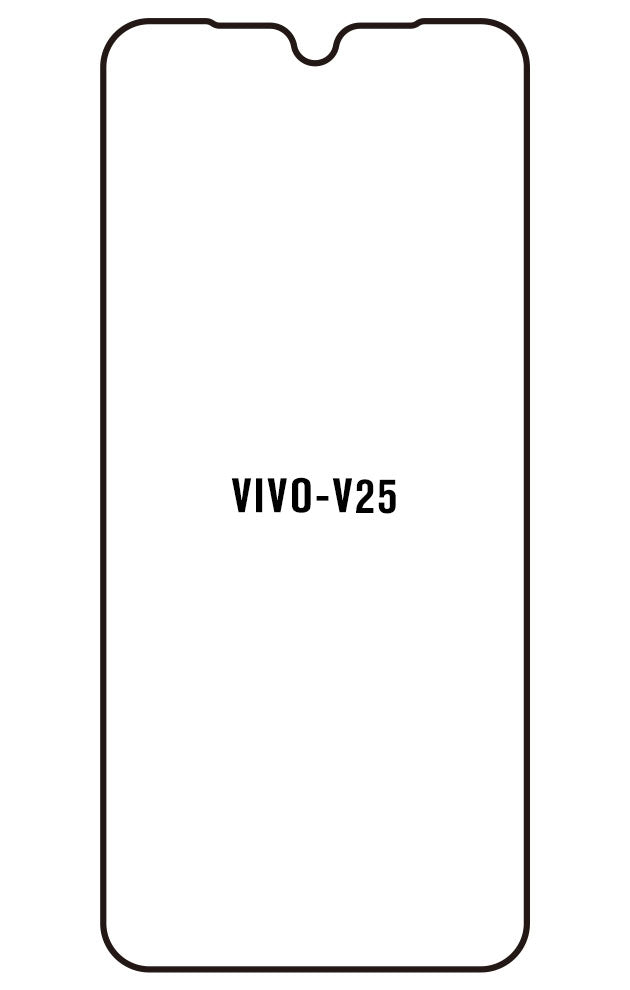 Film hydrogel Vivo V25