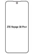 Film hydrogel ZTE Voyage 30 Pro +