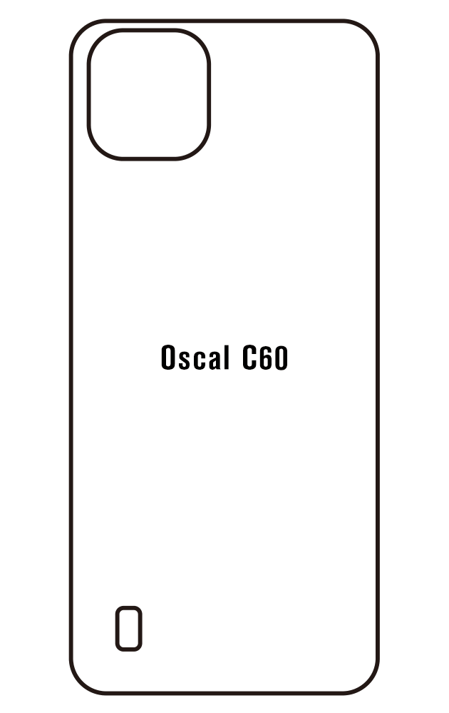 Film hydrogel Blackview Oscal C60