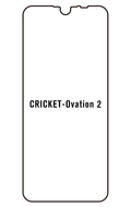Film hydrogel Cricket Ovation 2