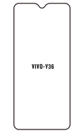 Film hydrogel Vivo Y36 (India)