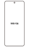 Film hydrogel Vivo Y36 5G(Taiwan)