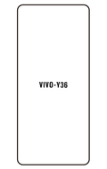 Film hydrogel Vivo Y36(China)