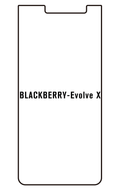 Film hydrogel BlackBerry Evolve X