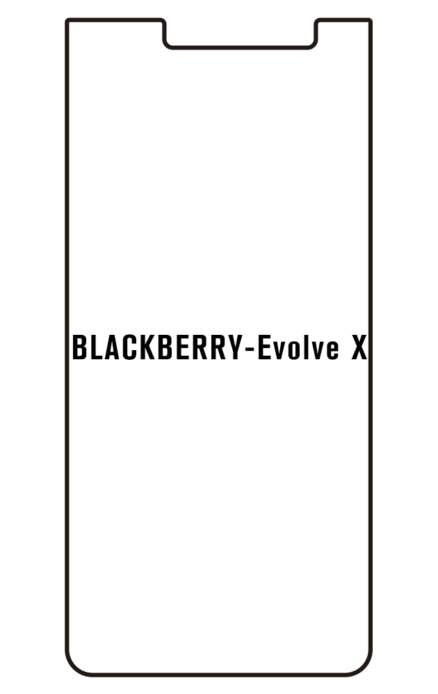 Film hydrogel BlackBerry Evolve X