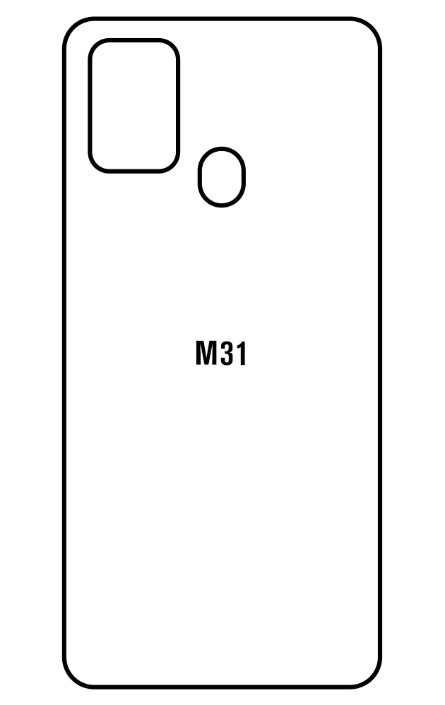 Film hydrogel Samsung Galaxy M31
