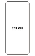 Film hydrogel Vivo Y100 (IDN)