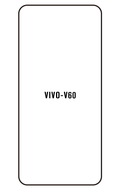 Film hydrogel Vivo V60