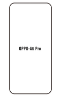 Film hydrogel Oppo A6 Pro(China)